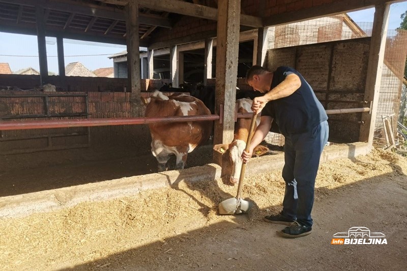 Robotizacija mljekarstva u semberskom selu Vršani: Smanjuju troškove i povećavaju produktivnost /FOTO/