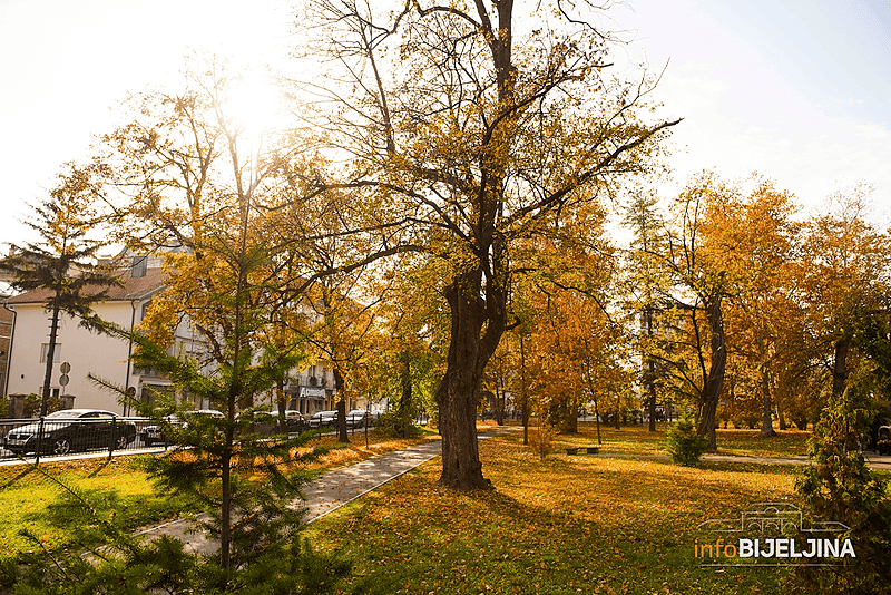 Danas sunčano i toplo uz temperaturu do 30 stepeni