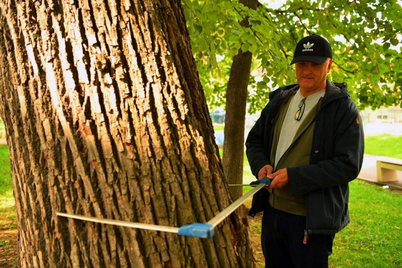 Bijeljina: Počela izrada studije zaštite Gradskog parka, detaljno će ispitati svako stablo (FOTO)