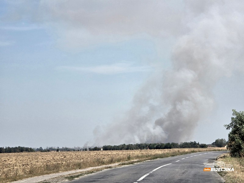 Požar u Amajlijama, na terenu brojne vatrogasne ekipe (FOTO)