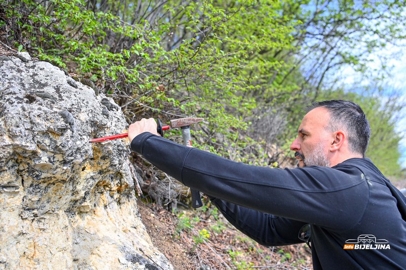 Semberija krije fosile Panonskog mora: Svijet koji je nestao prije miliona godina /FOTO; VIDEO/