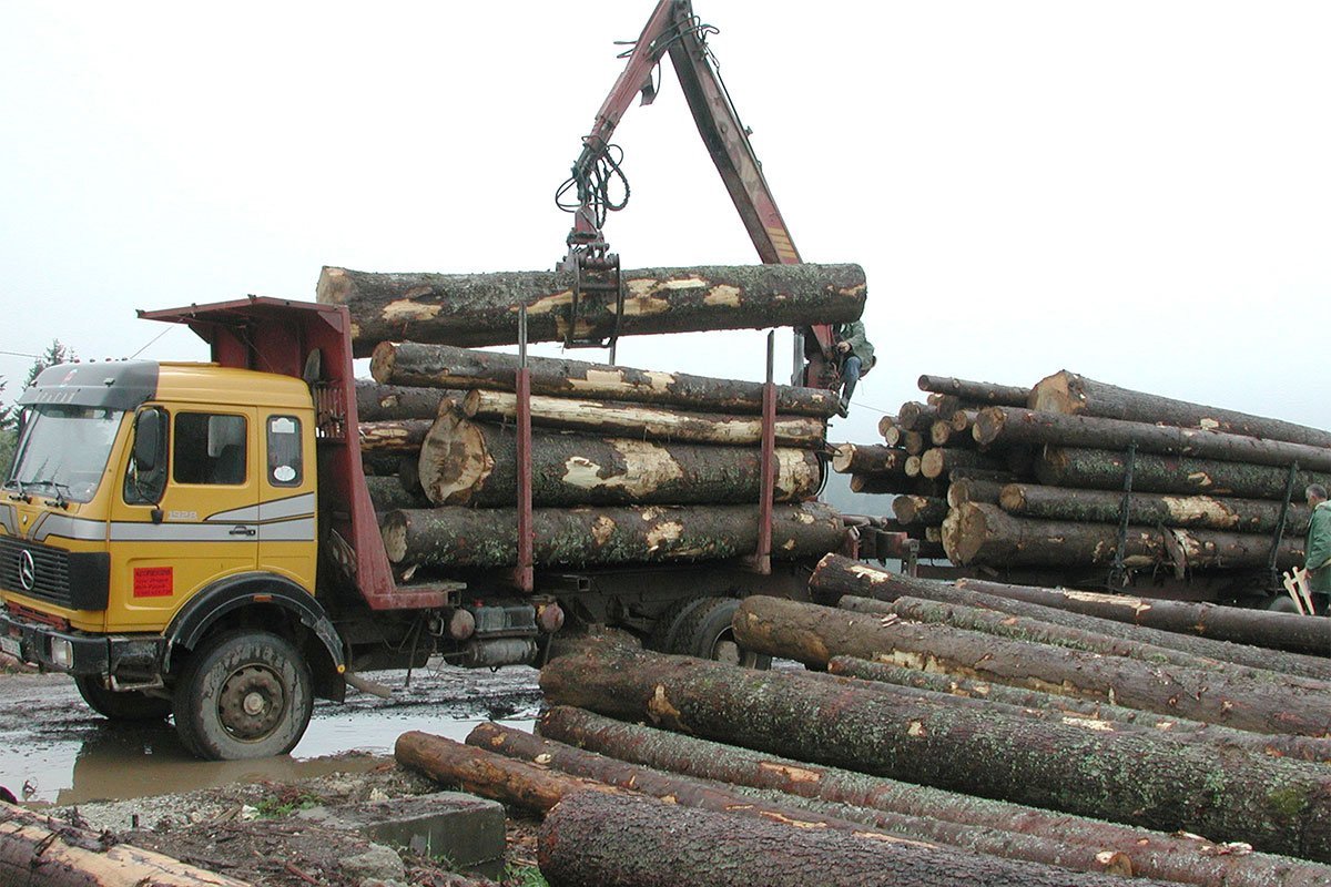 Slijede smjene u šumskim gazdinstvima u Srpskoj koja su negativno poslovala