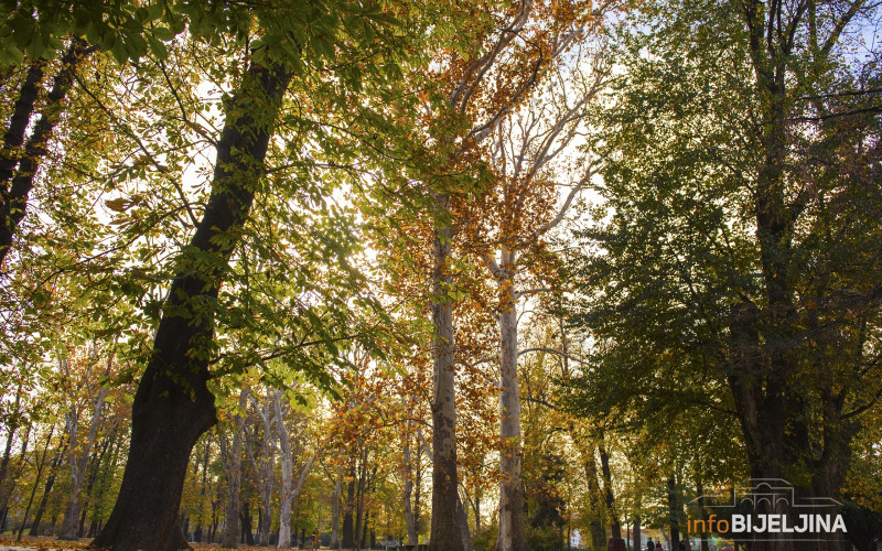 Danas sunčano, temperatura do 19 stepeni