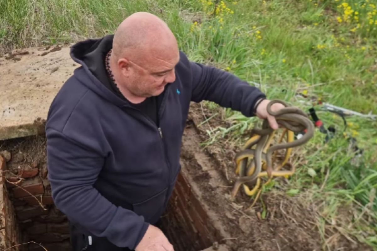 Vladica sišao u zmijsko carstvo: Ovaj prizor nije za svakoga