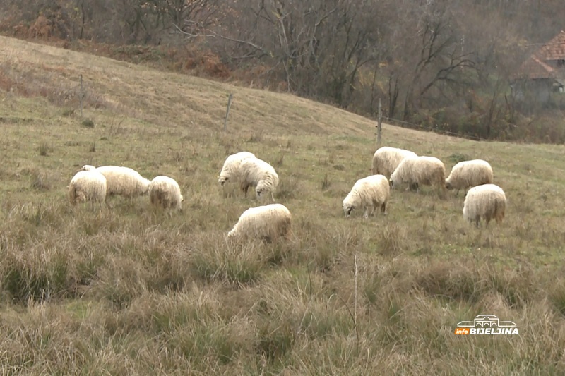 Penzioner bez pritiska i holesterola: Slavko Midić iz Tobuta hobijem održava zdravlje i puni novčanik