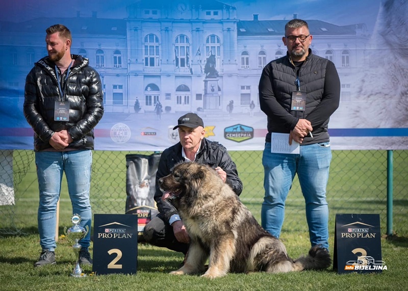 Istorijski uspjeh Kinološkog udruženja 