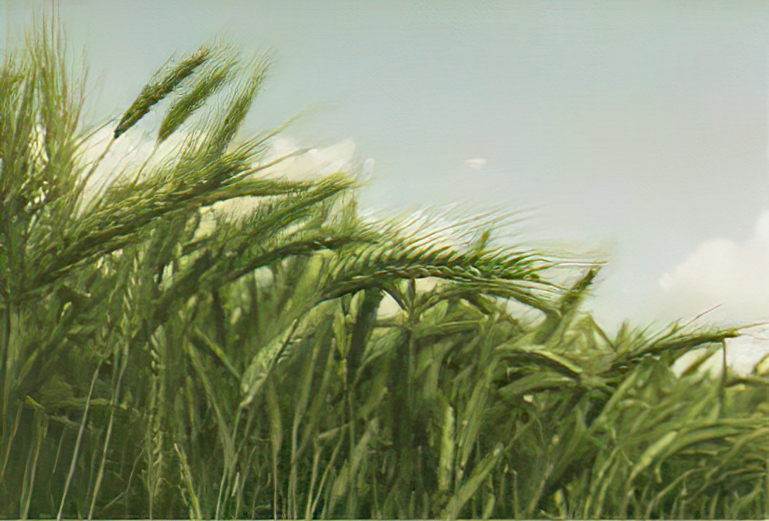 Divljač i sitni glodari zimi nanose najviše štete voćnjacima