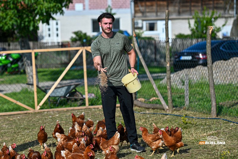 Jedinstvena farma u Semberiji: Imaju 600 koka nosilja, jaja prodaju i na društvenim mrežama (FOTO)