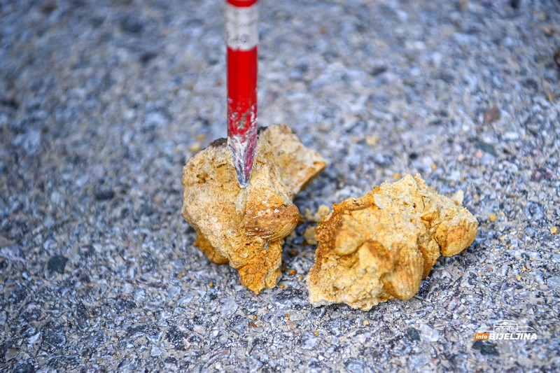 Semberija krije fosile Panonskog mora: Svijet koji je nestao prije miliona godina /FOTO; VIDEO/