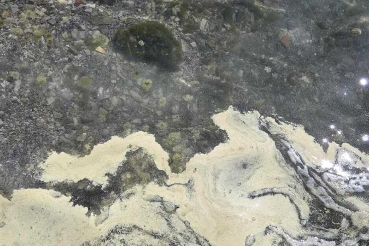 More u Hrvatskoj žuto: Naučnici objasnili fenomen