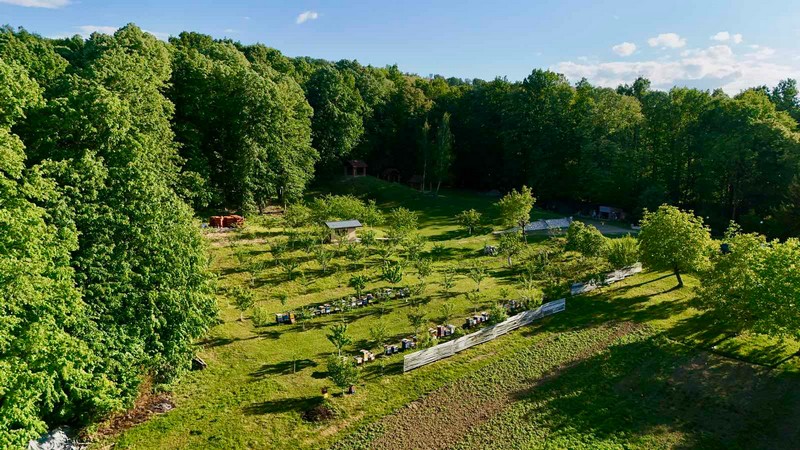 Tešići iz Donje Trnove se generacijama bave pčelarstvom: Nakon api komora u planu prenoćište i restoran (FOTO)