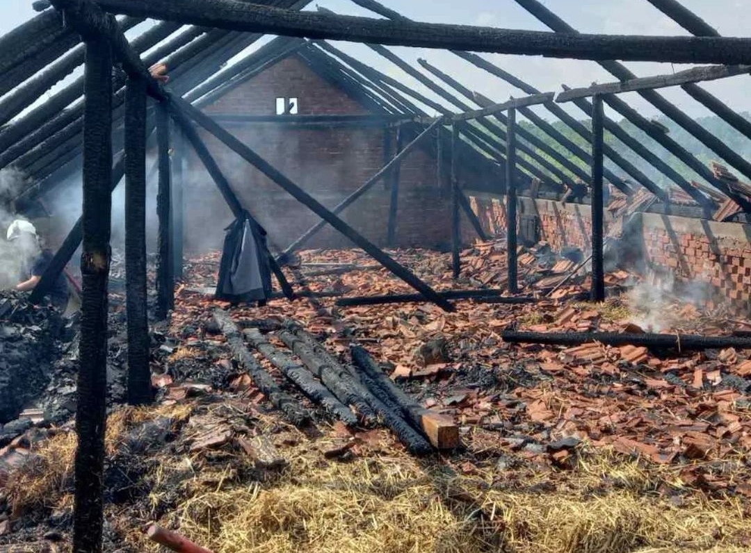 Požar u Bijeljini, gorjeli pomoćni objekti (FOTO) 