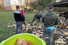 Osam drugara besplatno cjepaju drva ljudima koji to ne mogu da priušte