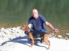 Srpski goniči iz Semberije: Pasmina koja osvaja lovce i takmičenja