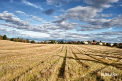 Podrška ruralnom razvoju i poljoprivredi u Republici Srpskoj