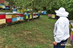 Višegradski pčelari brendiraju med: Cilj je zaštita kvaliteta i kupaca