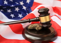 MALI NIVO THC-a U DŽOINTU Tužili kalifornijsku kompaniju jer nisu bili dovoljno "napušeni"