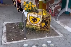 Huligani priznali krivicu za učešće u tuči, ali negiraju upletenost u ubistvo