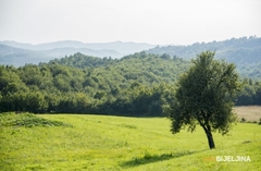 Sutra umjereno oblačno, temperatura do 21 stepen