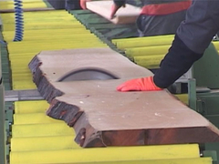 Povećana proizvodnja šumskih sortimenata