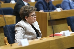 Stevanović: Registar osuđenih za seksualno zlostavljanje djece da bude javan