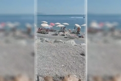 Okreću jagnje na plaži Jaz kod Budve
