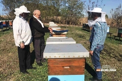 Semberski pčelari očekuju bolju godinu, BEZ PODSTICAJA nema ni pčelarenja (FOTO)
