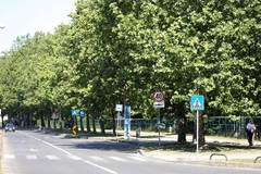 Motociklista preticao kolonu i pokosio pješaka, djevojka odletjela 40 m