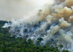 "PLUĆA SVIJETA" VIŠE NE DIŠU Amazonska prašuma sada proizvodi više ugljen-dioksida nego što može da ga apsorbuje