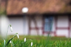 Prodaje imanje za svega 10.500 evra