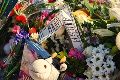 Tužilaštvo: Jedan osumnjičeni za ubistvo Danke priznao zločin, drugi se branio ćutanjem