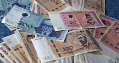 Verifikacija stare devizne štednje do kraja februara 2024.