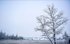 Danas uglavnom suvo, uz porast temperature