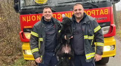 Vatrogasci spasli život psu, upao u bunar dubok 20 metara