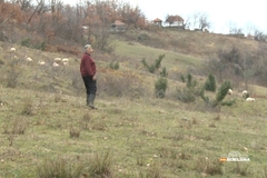 Penzioner bez pritiska i holesterola: Slavko Midić iz Tobuta hobijem održava zdravlje i puni novčanik