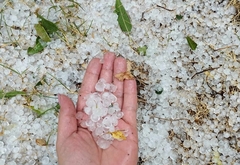 Nevrijeme: Led u gradu u BiH izazvao haos na usjevima (FOTO, VIDEO)