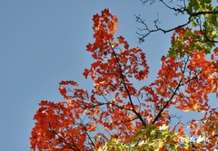 Kakvo vrijeme nas očekuje do kraja septembra