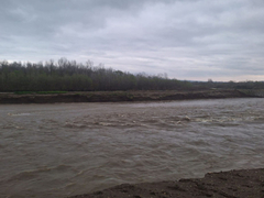 U Srbiji proglašena je vanredna odbrana od poplava