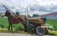 Nesvakidašnja scena u Bijeljini, zaprežna kola u kanalu a konj vezan za znak (FOTO)