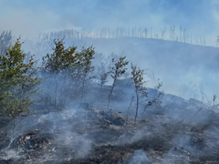 Drama kod Mostara: Požar zahvatio minirano područje, odjekuju detonacije i vatrogasci ne mogu prići