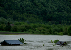 Vanredne mjere u Hrvatskoj: Očekuju jak vodeni talas, nekoliko kuća već potopljeno