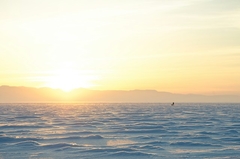 Klimatske promjene mogle bi da dovedu do zastrašujuće nove pandemije