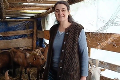 Domaći sir i borba sa vukovima: Kako Đorđevići gaje alpske koze? (VIDEO)