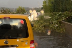 Jako nevrijeme u Doboju, stabla na cesti (VIDEO)