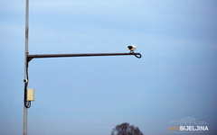 Kamere natjerale vozače da auta registruju na vrijeme