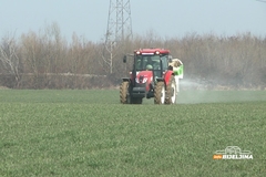 Poljoprivrednicima stiže 180 miliona KM, šta o tome kažu Semberci: Povrtari trljaju ruke, mljekari očekivali više