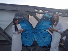 Finalno veče rezervisano je za Pantenol Butterfly Dance