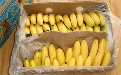 Pronađen kokain među bananama, uhapšena tri Albanca