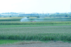 U Batajnici pao mali avion, pronađeno tijelo pilota