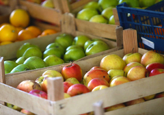 Visoke temperature osušile voće